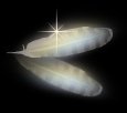 angelfeather.jpg